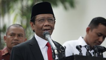Mahfud: Poor Papua Due To Taxes To The State, That's Not True!