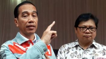 Presiden Jokowi Tunjuk Menko Airlangga jadi Ketua Dewan Nasional Kawasan Ekonomi Khusus (KEK)