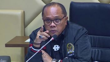 Affirm The Council Of Colonels Not Entering Party Structure, Junimart Girsang: May Our Dong Have An Angan-Dukung Puan