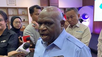 例えばドイツでは、ピガイは国民に大統領の侮辱に関する記事を心配しないように頼んだ