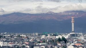 Jepang akan Perluas Penggunaan Tanah Terdampak Bencana Fukushima