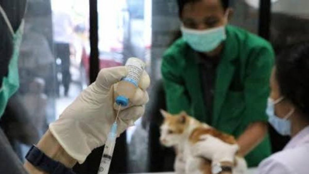 Regent Bans Dogs, Cats And Apes From Entering TTU Regency Imbas 122 Residents Of TSS Infected With Rabies