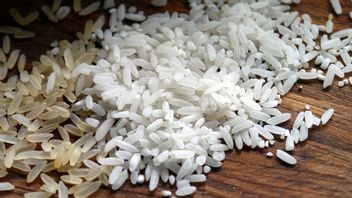 进入大丰收期，PDIP政治家：不需要大米进口