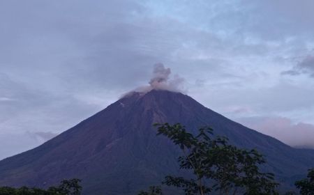 Gunung Semeru Muntahkan Abu Erupsi 700 Meter