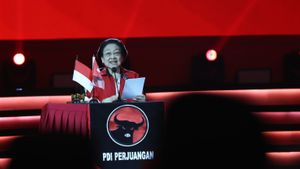 PDIP Luruskan Instruksi Megawati Soal Retret Kepala Daerah: Tidak Melarang Tapi Tunda dan Tunggu Arahan