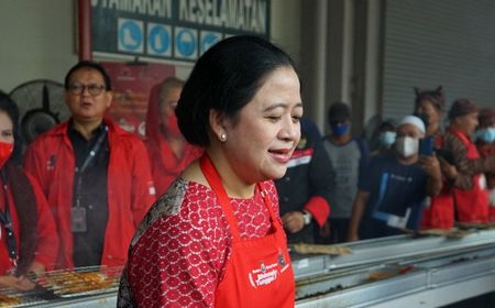 Diperintah Megawati, Puan Atur Waktu Temui Ketum Parpol Hadapi Pemilu 2024, Termasuk Demokrat?