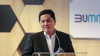 Erick Thohir Allegedly Playing In The PCR Business, Arya Sinulingga: It's A Long Way, Since He Was A Minister He Has Not Been Active In Business Affairs