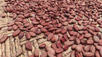 印尼和美国同意对棕榈油和可可征收互惠关税