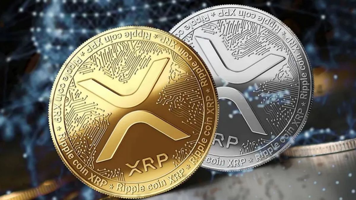Investor Crypto