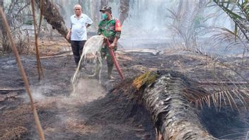 燃烧泥炭地的油棕种植园,Mukomuko现在被烟雾淹没