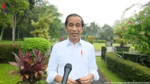 Warga di Pasar Jateng Teriak 3 Periode, Jokowi Tertawa: Sudah Sering Saya Dengar, Tapi Harus Taat Konstitusi