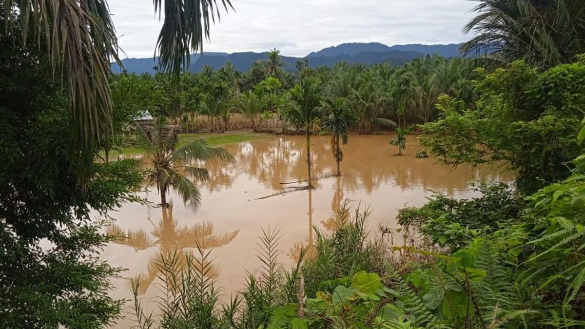 西パサマンの20ヘクタールの農地が洪水で被害を受けた