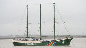Mengingat Peristiwa Tenggelamnya Kapal Rainbow Warrior Milik Greenpeace yang Dibom Agen Rahasia Prancis