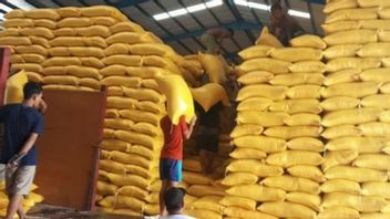 驚くべきことに、Bulog Makassarは64ヶ月間米の在庫を持っています!
