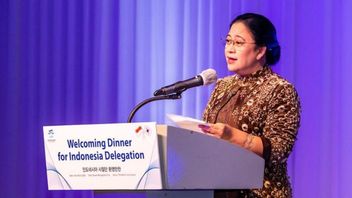 众议院议长支持巴厘岛G20峰会，希望会议对话能够减少国家间分歧