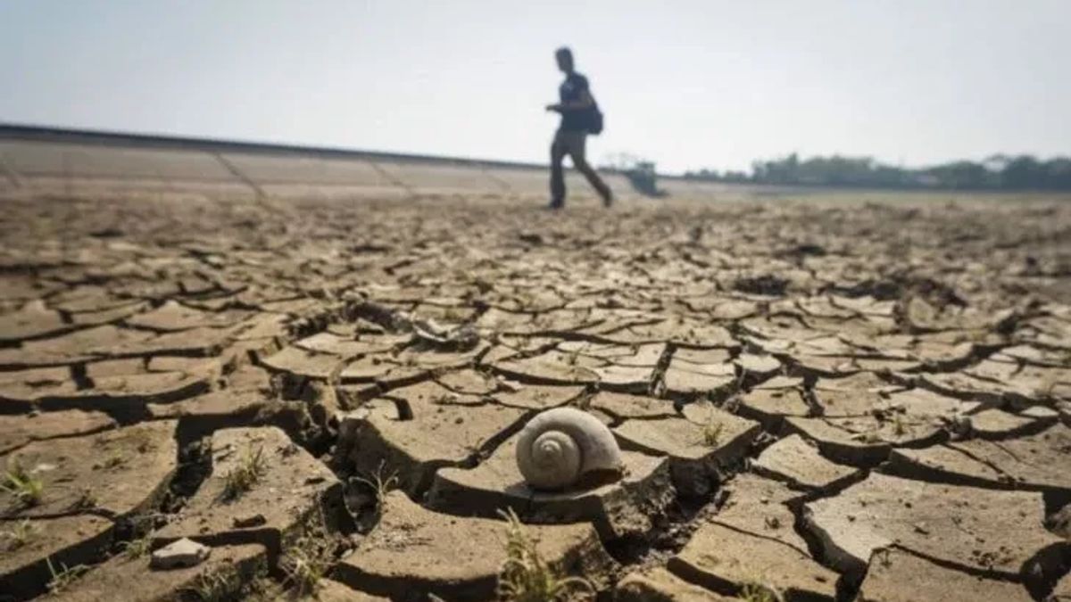 UN Weather Agency: 2023 Will Become The Hottest Year In History
