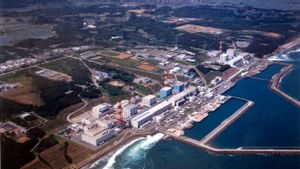 Pos Polisi Kembali Dibuka di Kota Pembangkit Nuklir Fukushima Setelah 11 Tahun
