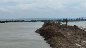 Kepala BNPB Tinjau Lokasi Terdampak Banjir di Kendal