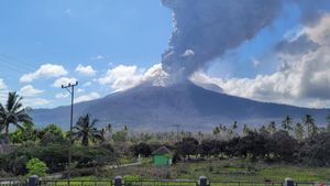 Badan Geologi: 127 Gunung di Indonesia Berstatus Aktif