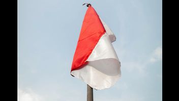 警察は、VIdeonyaがFBにアップロードしたランプンで赤と白の旗バーナーを逮捕