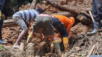Korban Tewas Akibat Banjir Bandang di Pegunungan Arfak Bertambah 3 Orang