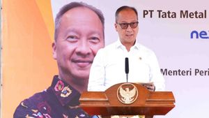 Sebut Sektor Manufaktur Surplus Rp169,4 Triliun hingga Kuartal I-2025, Menperin: Tak Terjadi Deindustrialisasi