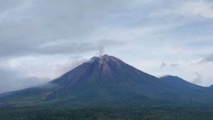 星期五早上,塞梅鲁火山爆发5次,敦促居民提高警惕