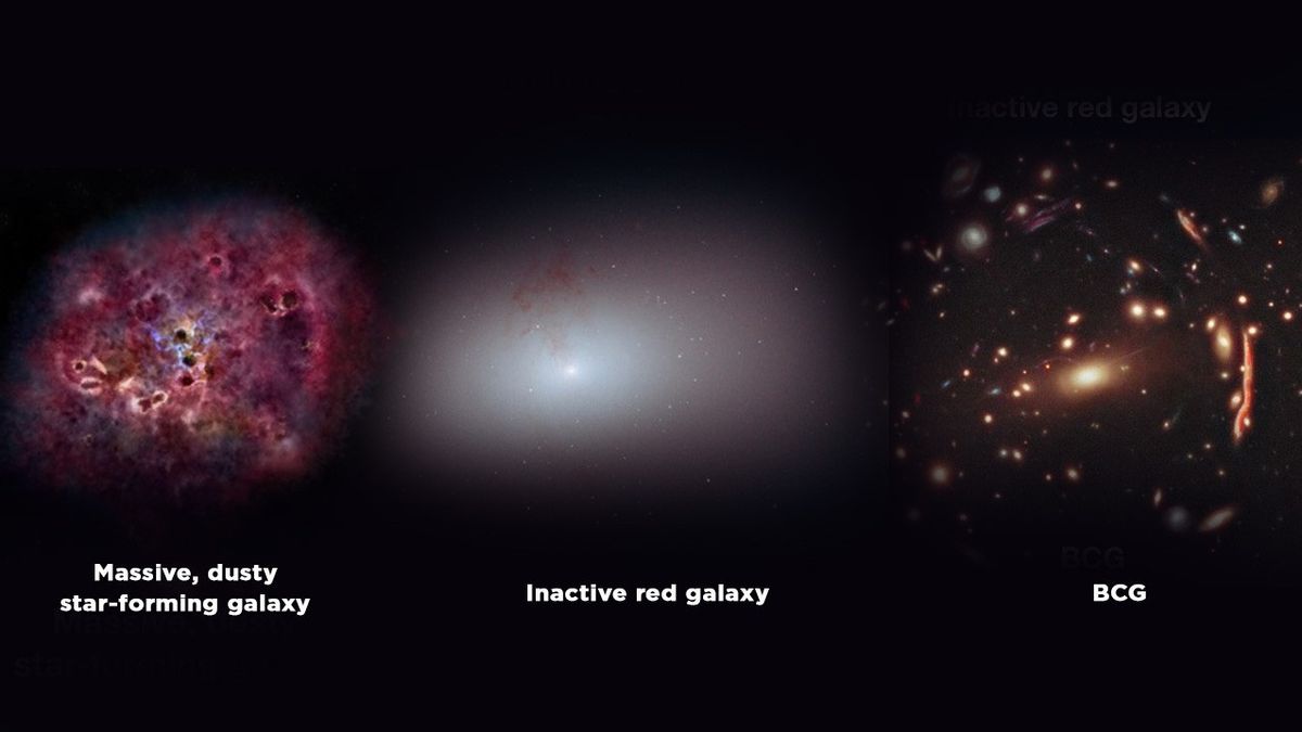Faites La Connaissez La Galaxie Monstre Rare Qui A Vécu Dans La Création Précoce De L’Univers