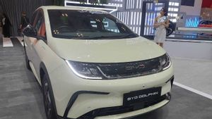 BYD Dolphin And Atto 3 Massive Recalls In China, How About In Indonesia? This Is BYD's Answer