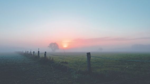 Pour Survivre à Votre Destination, Ces Conseils Pour Conduire Dans Les Zones Brumeuses