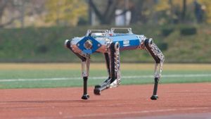 Robot Hound KAIST Berhasil Pecahkan Rekor Dunia 100 Meter Luar Ruangan, Ungguli Pesaing dari AS di Treadmill 