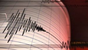 Gempa Magnitudo 5,1 Guncang Keerom Papua, BMKG Sebut Tak Berpotensi Tsunami