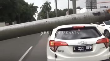 A Palm Tree In Pondok Indah Collapses, A White Honda HRV Is Crushed, A Motorcyclist Dies
