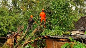 Berita Gunung Kidul: BPBD Gunung Kidul Mencatat 654 Jiwa Terdampak Bencana Angin Kencang