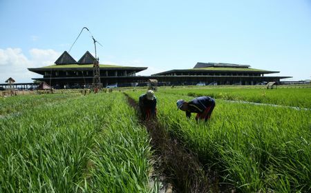 Bandara Banyuwangi  Masuk Jajaran 20 Arsitektur Terbaik Dunia