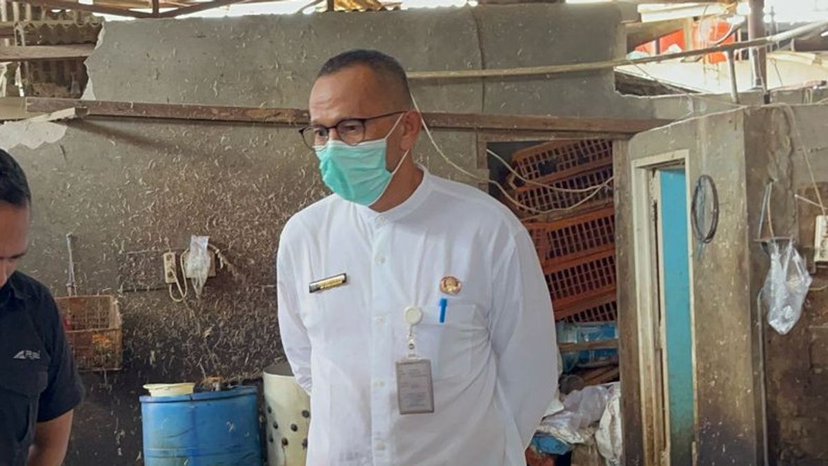 Ini Ciri-Ciri Ayam Gelonggongan yang Dijual di Pasar Kebayoran Lama Jaksel