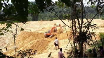 Sempat Diminta Lebaran di Kampung Halaman, Warga Sumsel Tewas Tertimbun Tanah Longsor saat Mencari Butiran Emas di Jambi