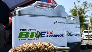 Pertamina And The Ministry Of Forestry Want To Develop Bioethenol Based On Aren
