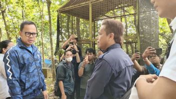 2 Ekor Monyet Mati dan Temukan Buaya Tak Terawat Baik, Bima Arya Minta Zoo Bogor Folrest Hotel Ditutup Sementara