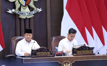 Prabowo Lawatan ke Mesir, Gibran Ditunjuk sebagai Plt Presiden  