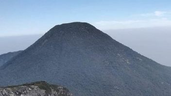 The Mount Gede-Pangrango Cianjur Hiking Trail Is Re-opened