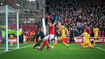 Chris Wood Hattrick, Nottingham Forest Pesta Tujuh Gol untuk Hancurkan Brighton