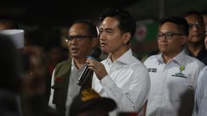 Rismon Minta Maaf soal Tuduhan Ijazah Jokowi, Ini Respons Gibran