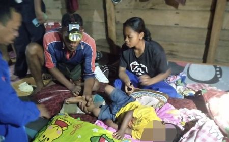 Kasus Harimau Masuk ke Rumah Gigit Kaki Bocah yang Tertidur, BBKSDA Riau Pasang Kandang Jebak