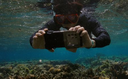 Samsung Bantu Seatrees Pulihkan Terumbu Karang dengan Fitur Ocean Mode di Seri Galaxy S25