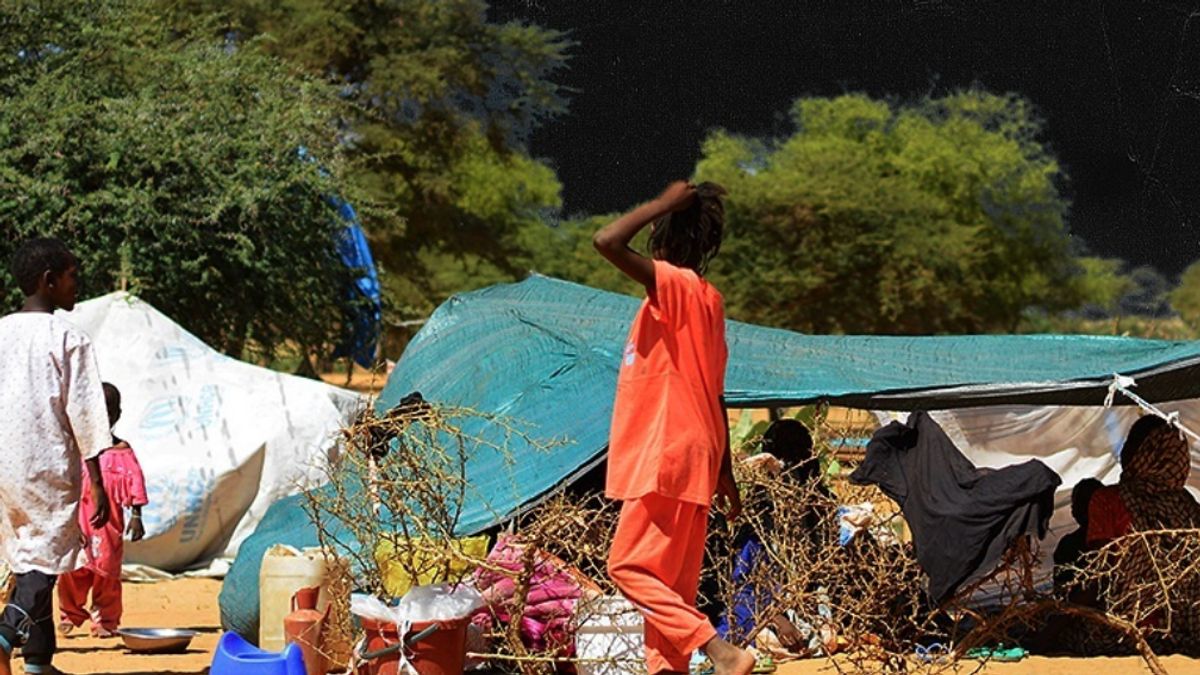 3 Staf WFP PBB Tewas dalam Serangan Udara di Sudan