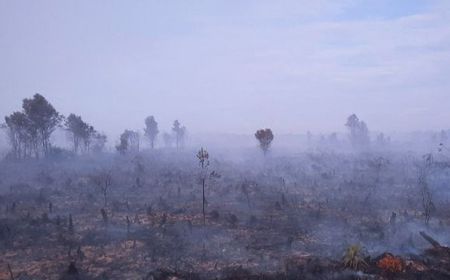 Walhi Minta Pemerintah Siapkan Kebijakan Guna Mitigasi Krisis Iklim