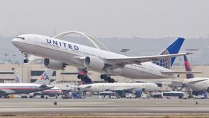 Belum Lama Lepas Landas, Pesawat Maskapai Ini Terpaksa Kembali ke Bandara Akibat 'Serangan' Burung