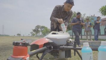 PT Pupuk Kujang与IPB合作，使用无人机喷施肥料，更快，更精确 
