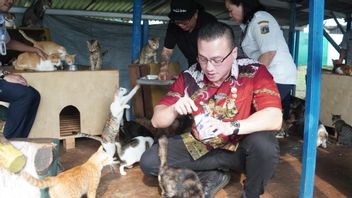 Dukung Wacana BPJS untuk Hewan, Anggota DPRD DKI Kenneth: Tak Semua Pemilik Hewan dari Kalangan Mampu